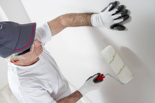 Best Emergency Mold Remediation  in Ellaville, GA