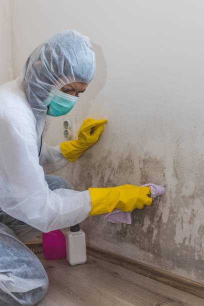 Best Indoor Air Quality Assessment  in Ellaville, GA