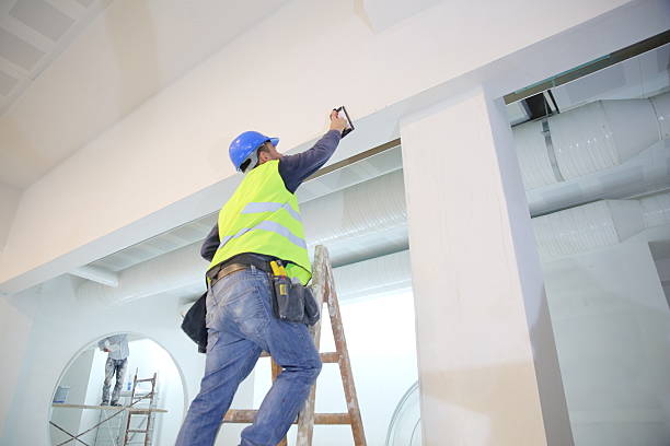 Best Air Quality Testing for Mold Spores  in Ellaville, GA