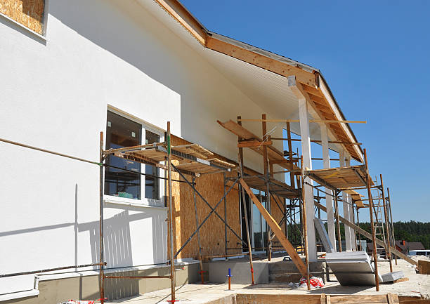Ellaville, GA Mold Removal Company