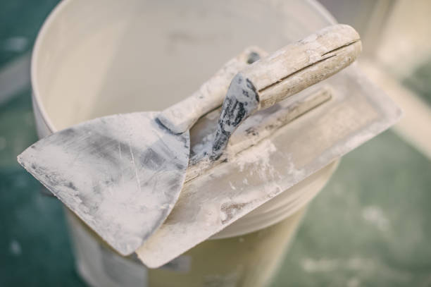 Best Residential Mold Inspection & Testing  in Ellaville, GA